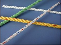 pp danline rope