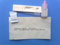 Hepatitis B Surface Antigen Test 1