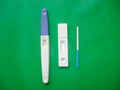 HCG pregnancy test