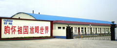 Anyang Qunxiu Plastics Co., Ltd.