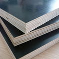 18MM film faced plywood for construction 1