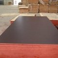 18MM film faced plywood for construction 2