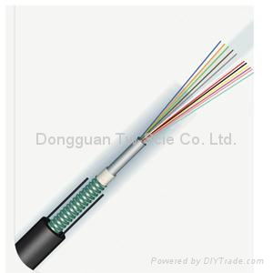 Outdoor Optical Cable GYTXW