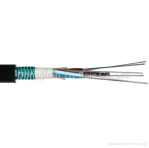 Outdoor Opical Cable GYTS 2-288 Core 2