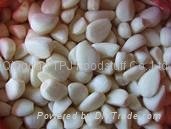 IQF garlic dices