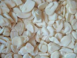 IQF garlic dices 4