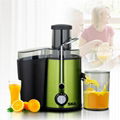 Electric Juicer