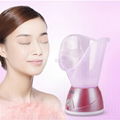 Electric facial steamer 