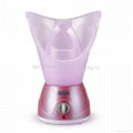 Electric facial steamer  5