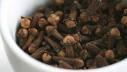 Quality Dried Cloves Spice for sale