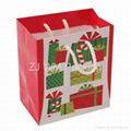 Printed Luxury Christmas Gift Paper Bag 2