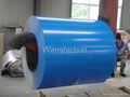 Colour Coated Mild Steel Coil
