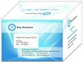 Beta-Lactams & Tetracyclines Combo Rapid  Test Kit 1