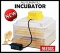 96B mini incubator 3