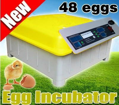 2013newest hot sale mini incubator
