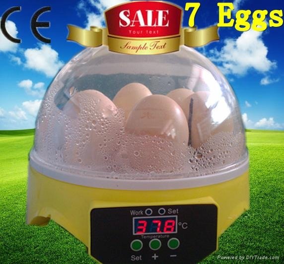 Edward high quality CE multi-function quail eggs incubator 3