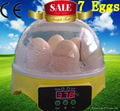 Edward high quality CE multi-function quail eggs incubator 3