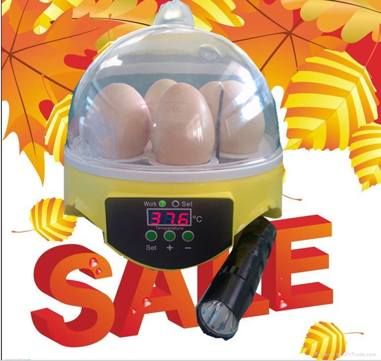 Edward high quality CE multi-function quail eggs incubator 4