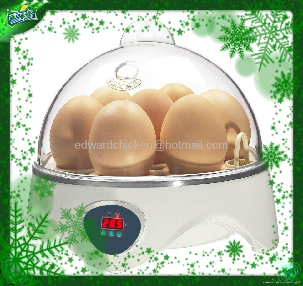 2013popular hot sale mini chicken eggs incubator 2