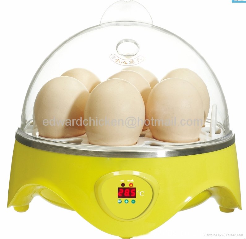 2013popular hot sale mini chicken eggs incubator 4