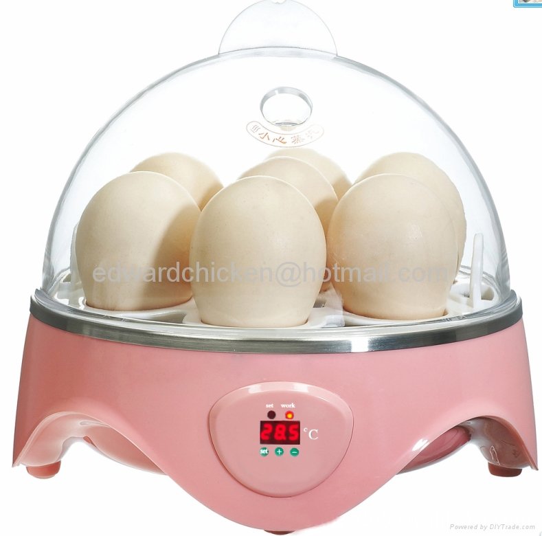 2013popular hot sale mini chicken eggs incubator 5