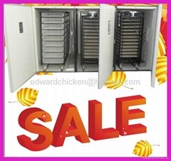 2013 hot sale professiomnal automatic incubator