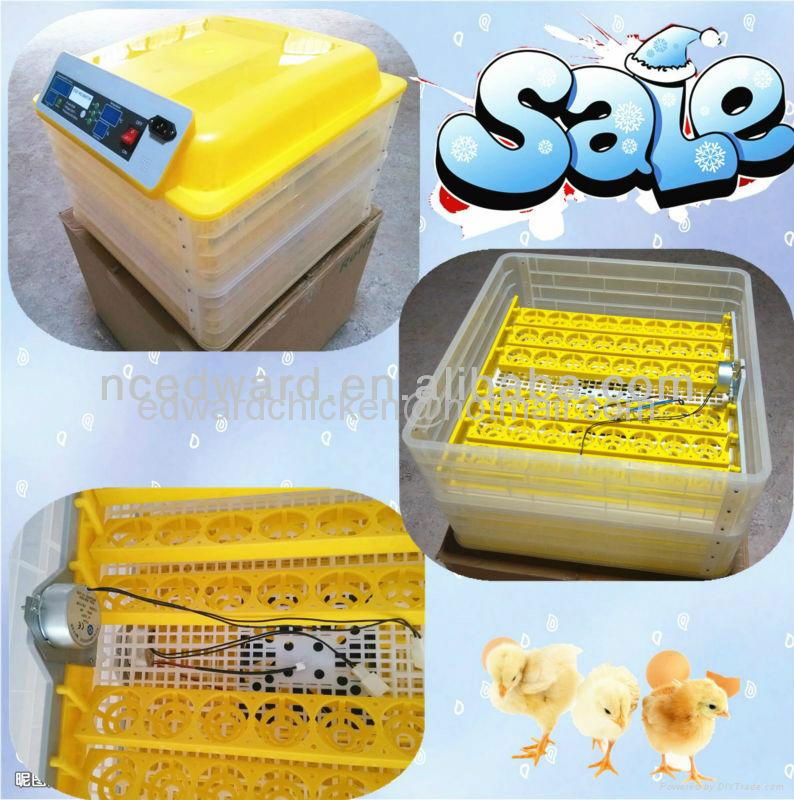 Edward home made mini incubator 4