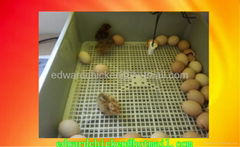 96A mini homa made professional incubator