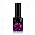 Soak Off UV/LED Gel Polish 1