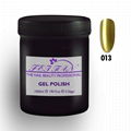 Bulk Package Gel Polish 1