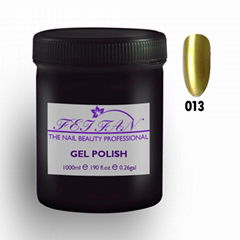 Bulk Package Gel Polish