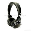 Stereo bluetooth headphones with FM