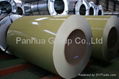 CGCC grade ppgi coil and sheet 5