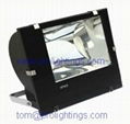 CE approved aluminum induction flood lights with high quality light bulb FG-2