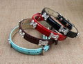 HT-385 dog collar pet collar pet