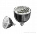 LED Par Light 1