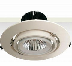 COB Downlight  