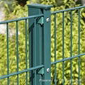 Galvanized and PVC coated welded wire fence 1