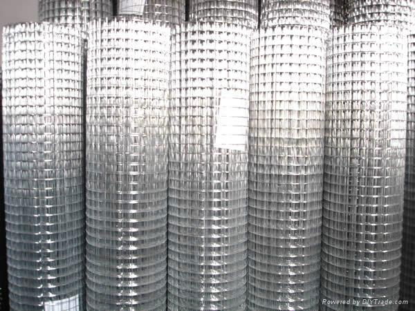 PVC Coated Welded Wire Mesh 3