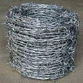 HOT SALE galvanized barbed wire(factory)