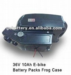 GEB 2012 newest electric bike battery e