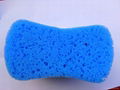 Car Wash Sponges