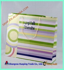 Promotional shopping paper bag