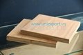 Container plywood flooring 2