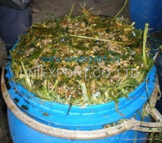 Corn sialge for animal bedding