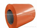 PPGI/prepainted steel coils 1