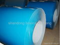 PPGI/prepainted steel coils 3