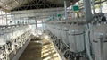 Large-scale Pipe-typed Measuring Bottle Milking System