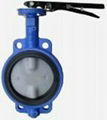 Cast Iron Manual Butterfly Valve 1