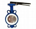 butterfly valve 1